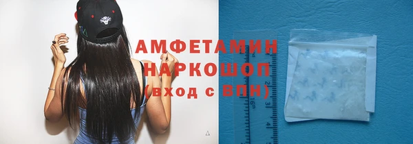 стафф Алзамай