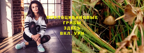 сатива Алексеевка