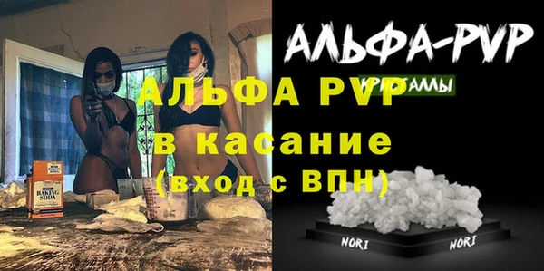 стафф Алзамай