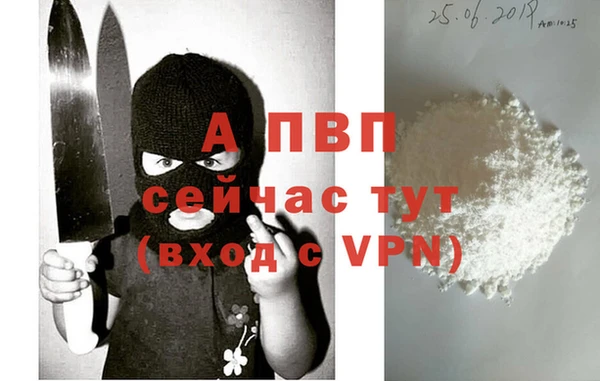 стафф Алзамай